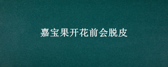 嘉宝果开花前会脱皮
