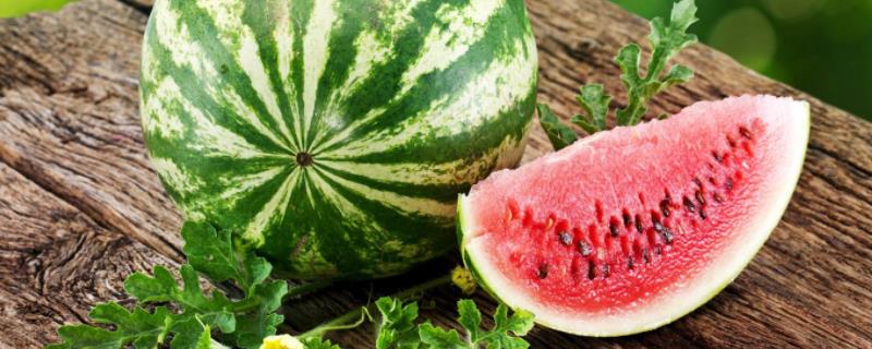 种植西瓜的步骤以及方法西瓜底肥施肥方案