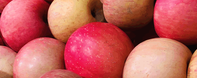 苹果什么时候成熟