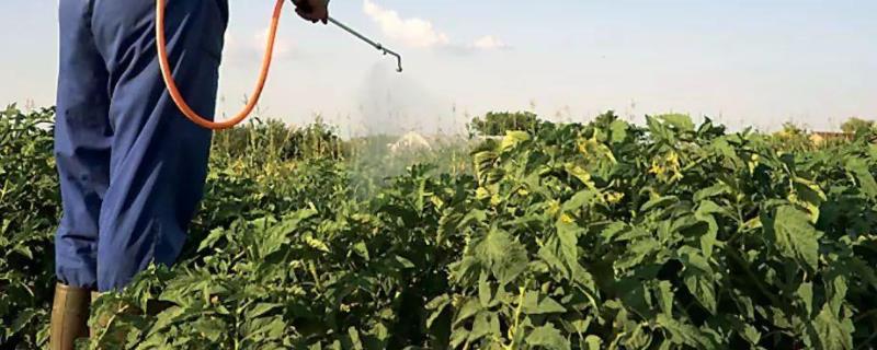 辛菌胺醋酸盐复配使用方法用量和浓度多少合适