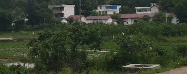 合作社有什么优惠政策