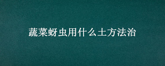 蔬菜蚜虫用什么土方法治