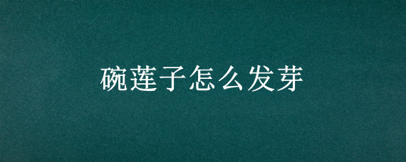 碗莲子怎么发芽
