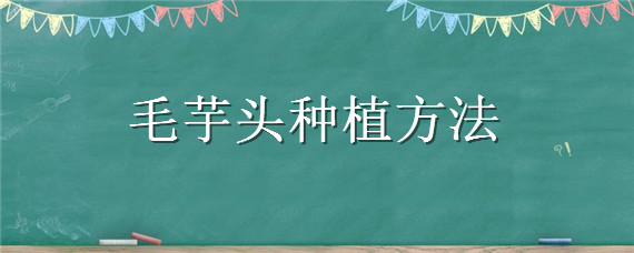 毛芋头种植方法