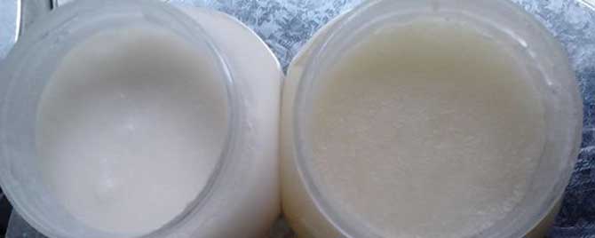 白蜂蜜好还是黄蜂蜜好？