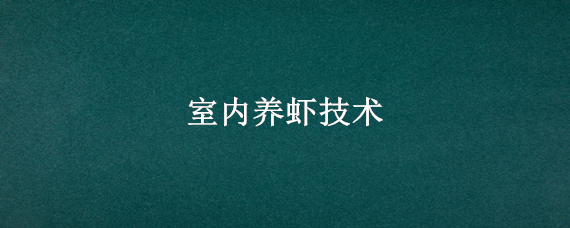 室内养虾技术