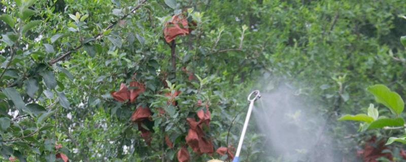 杀扑磷为什么被禁用杀扑磷有什么作用