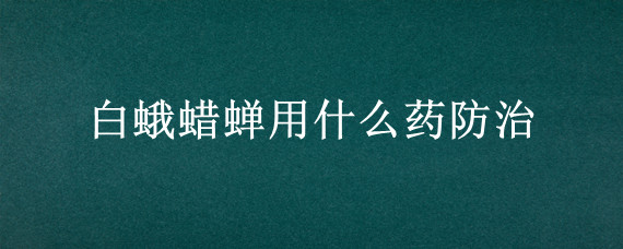 白蛾蜡蝉用什么药防治