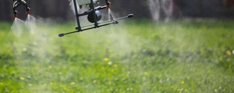 巴斯夫稻清使用方法一瓶打多少地