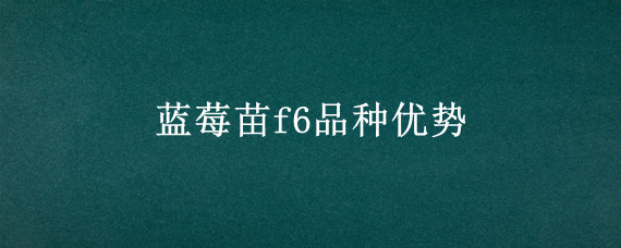 蓝莓苗f6品种优势