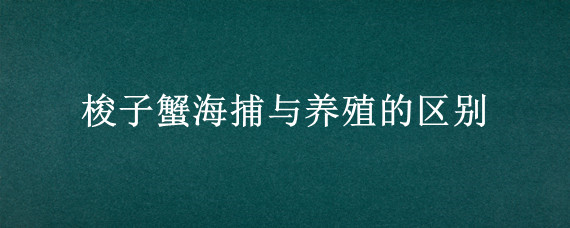梭子蟹海捕与养殖的区别