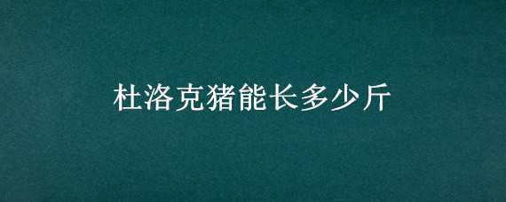 杜洛克猪能长多少斤