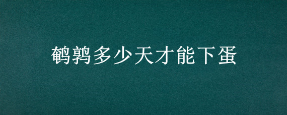鹌鹑多少天才能下蛋