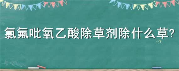 氯氟吡氧乙酸除草剂除什么草