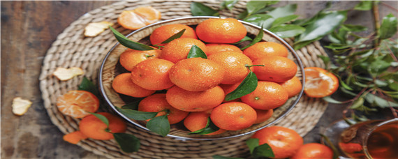 沙糖桔的种植技术与管理