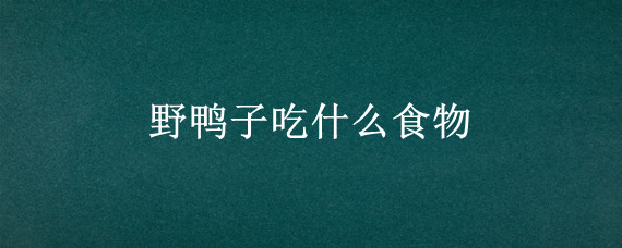 野鸭子吃什么食物