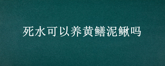 死水可以养黄鳝泥鳅吗