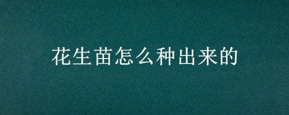 花生苗怎么种出来的