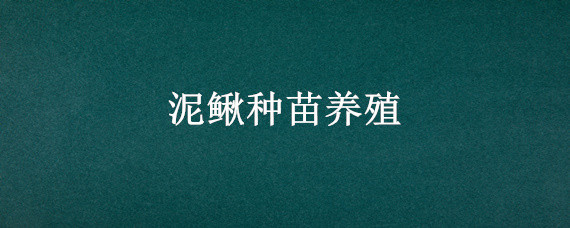 泥鳅种苗养殖