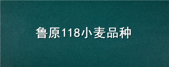 鲁原118小麦品种