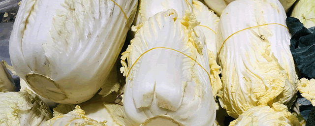 白菜细菌性软腐病防治措施