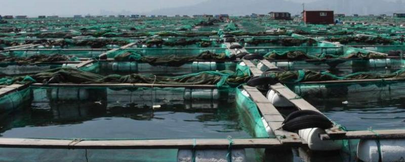 水产养殖需要的八个证水产专业可以从事哪些领域