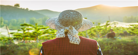 农民冬季的农事活动是什么