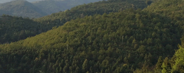 朱砂的功效与作用有哪些