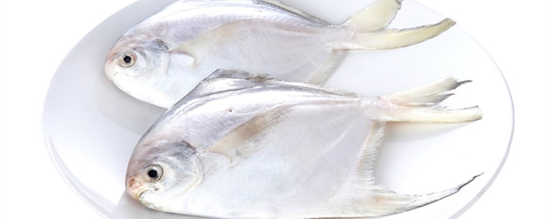 平鱼是海鱼还是河鱼