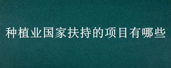 种植业国家扶持的项目有哪些