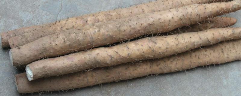 山药亩产量一般能达到多少附种植方法与时间