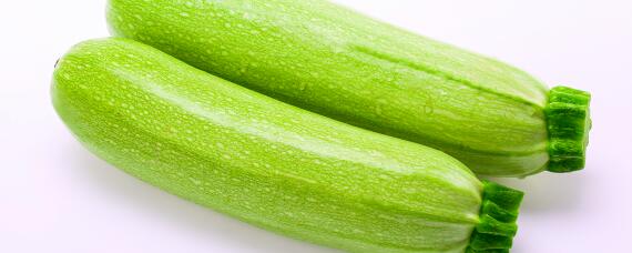 西葫芦种植技术与管理方法