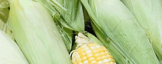 种玉米最简单的方法