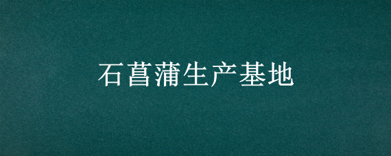 石菖蒲生产基地