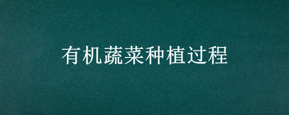 有机蔬菜种植过程