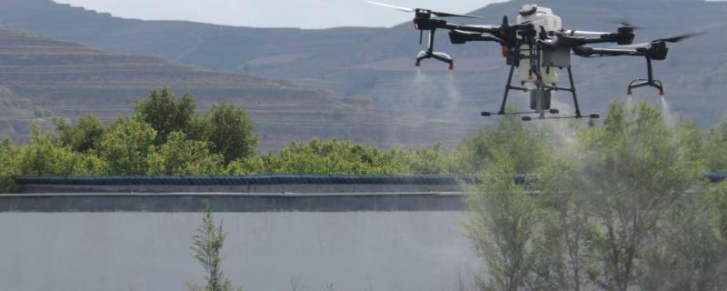 硝磺草酮除什么草对玉米有药害吗