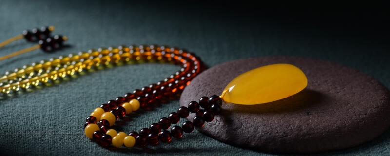 蜜蜡是什么树的树脂