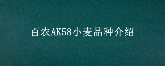 百农AK58小麦品种介绍