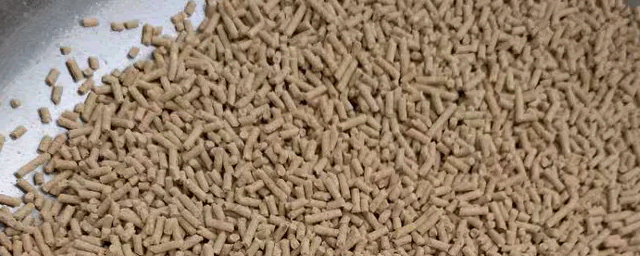 虹鳟鱼吃什么饲料