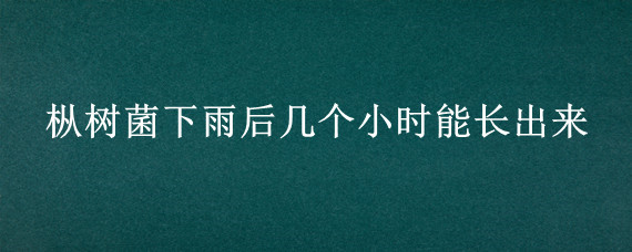 枞树菌下雨后几个小时能长出来