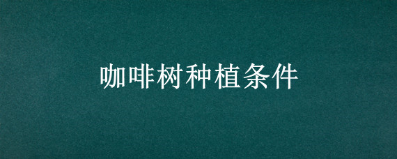 咖啡树种植条件