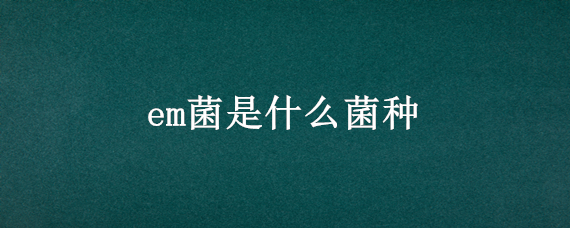em菌是什么菌种