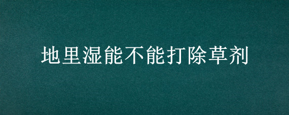 地里湿能不能打除草剂