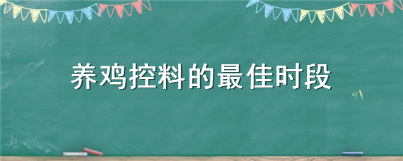 养鸡控料的最佳时段