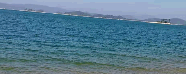 金鱼肠炎怎么治