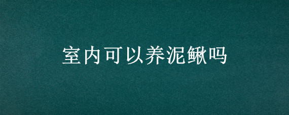 室内可以养泥鳅吗
