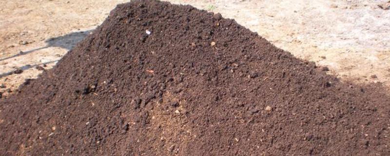 酵素堆肥的制作酵素堆肥什么意思