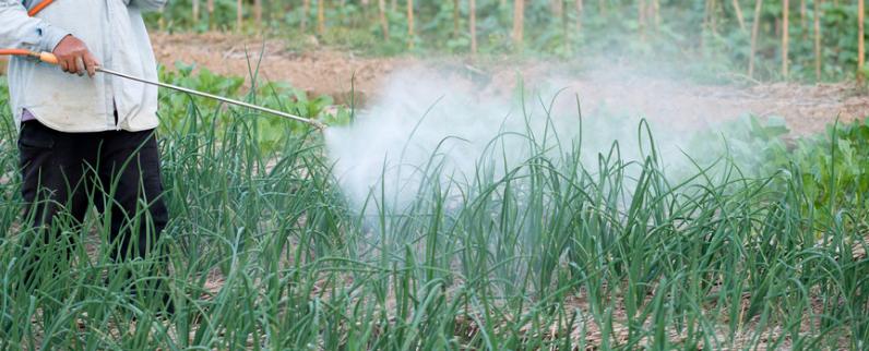 二甲戊灵禁用作物中毒了怎么解救