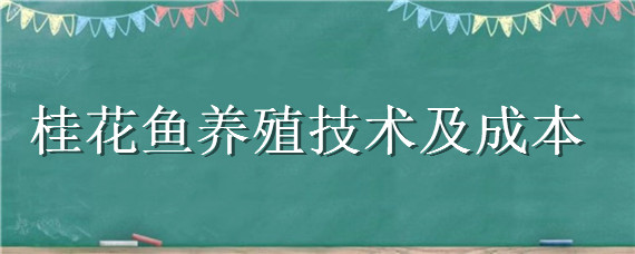桂花鱼养殖技术及成本