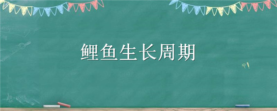 鲤鱼生长周期